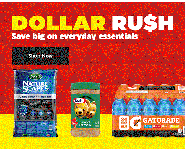 Dollar Rush. Save big on everyday essentials.