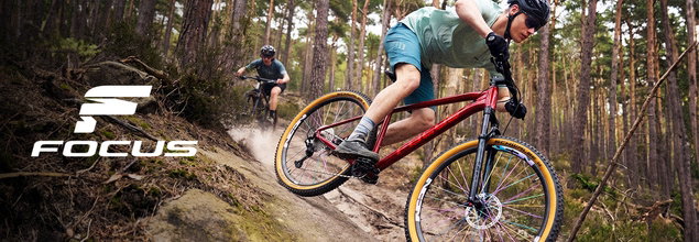 Focus Bike