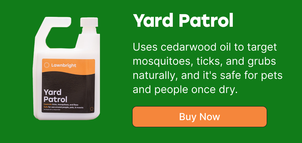 Yard Patrol