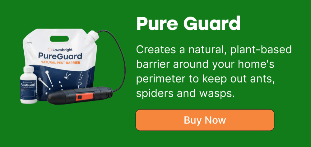 Pure Guard