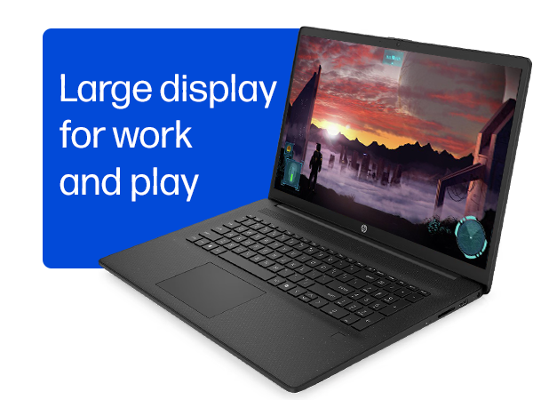 Large display for work and play