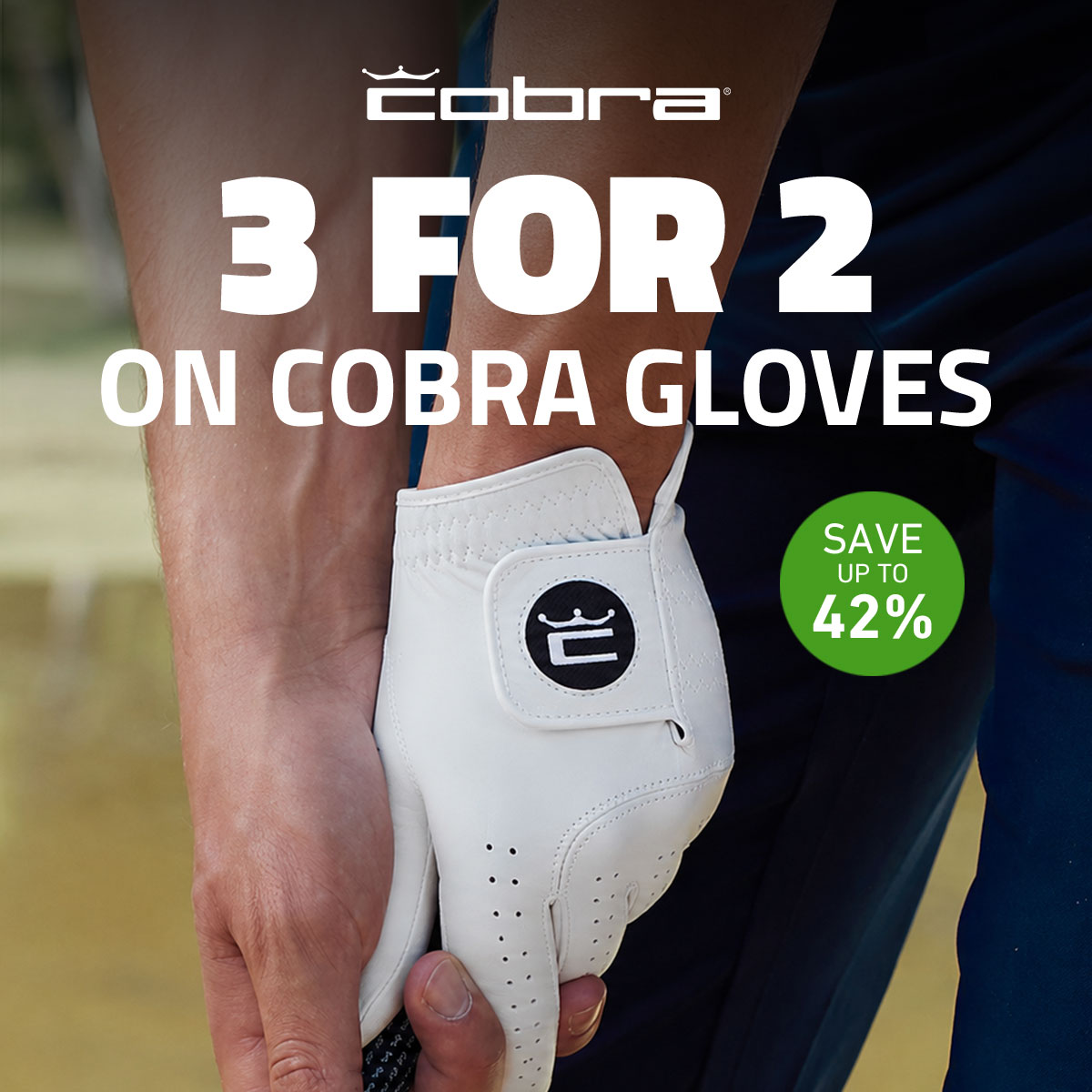 Cobra 3 For 2 Gloves