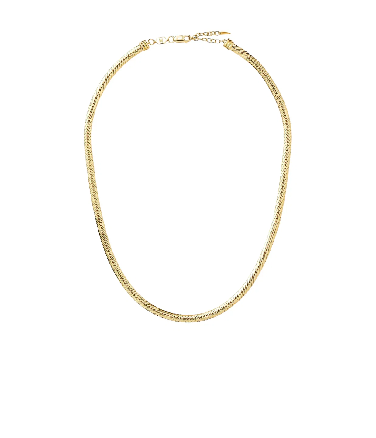 Image of Camail Chain Necklace in Gold