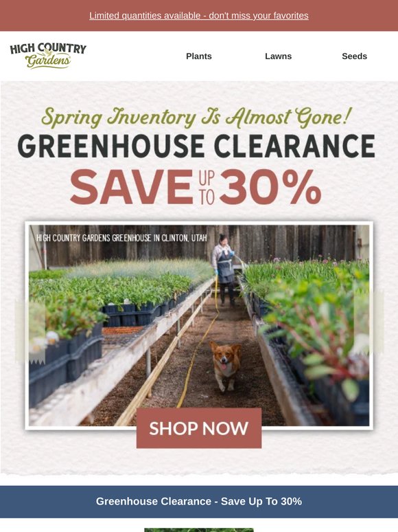 Greenhouse Clearance | Save Up To 30% On Premium Plants