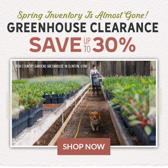 greenhouse clearance