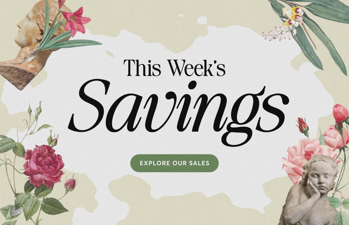 This Week's Savings. Explore Our Sales