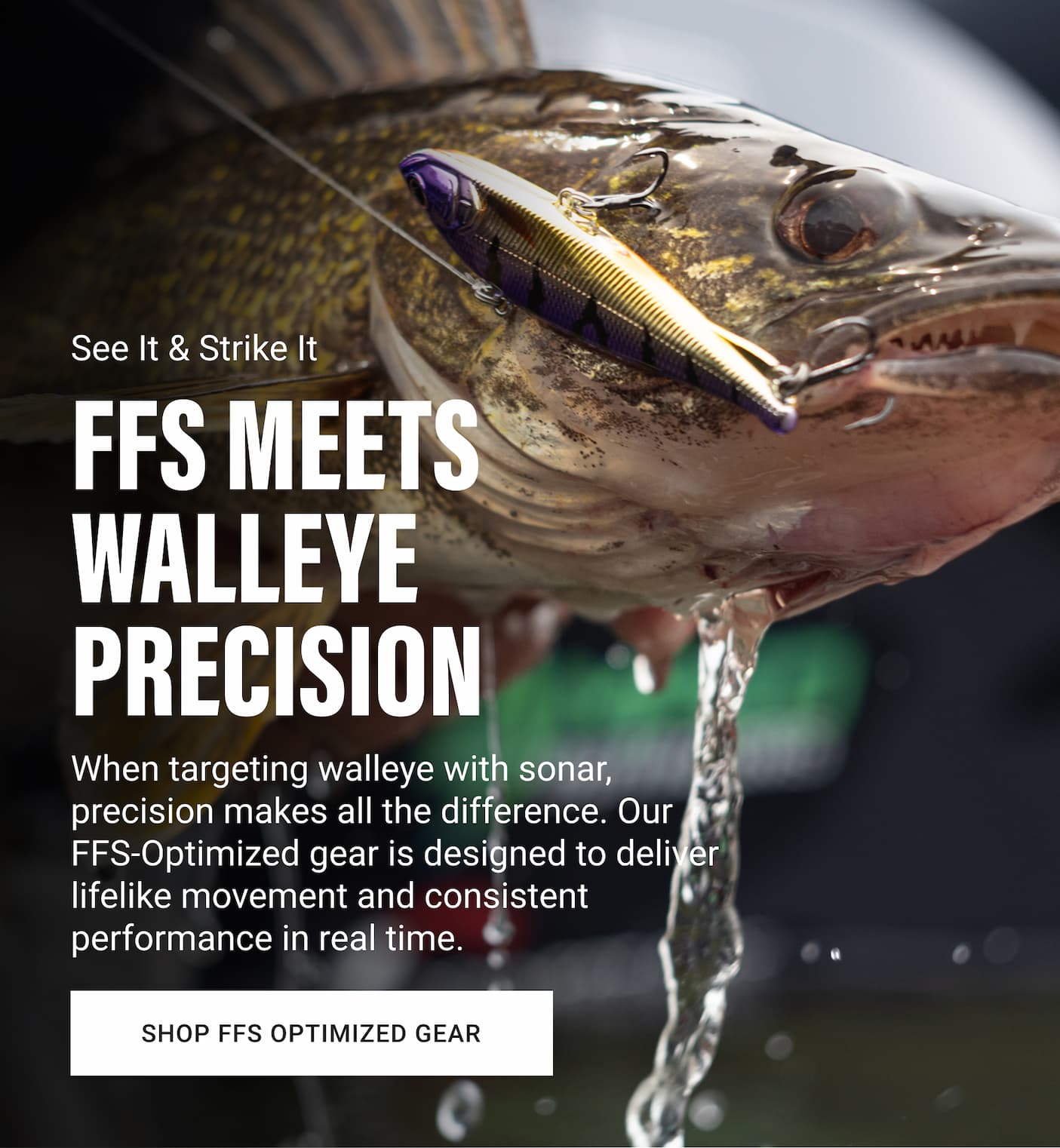 FFS Collection Walleye