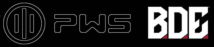 PRIMARY WEAPONS SYSTEMS
