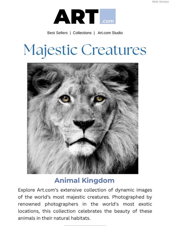 Majestic Creatures of the Animal Kingdom