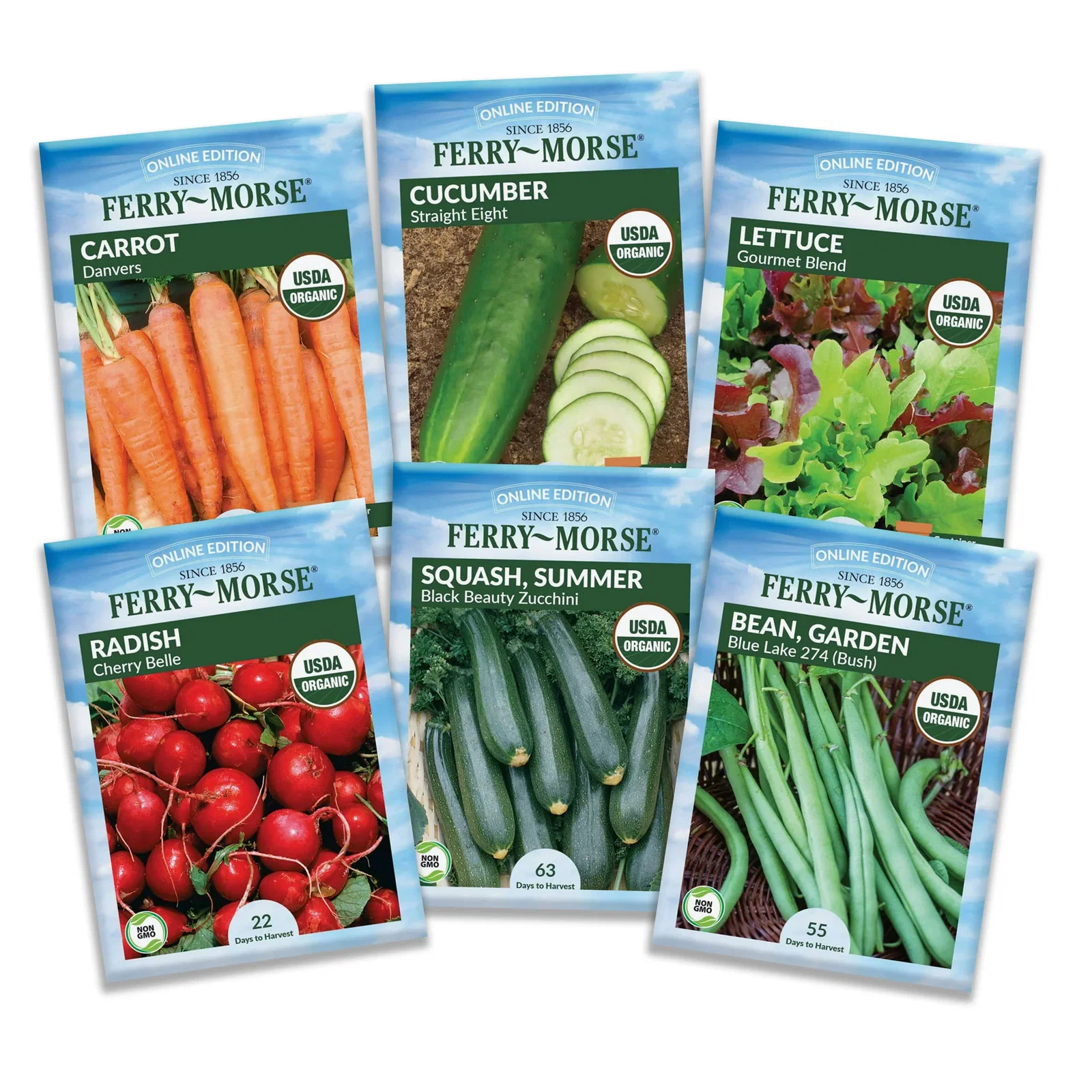 Image of Effortless Harvest Vegetable Seed Variety Pack - 6 Pack