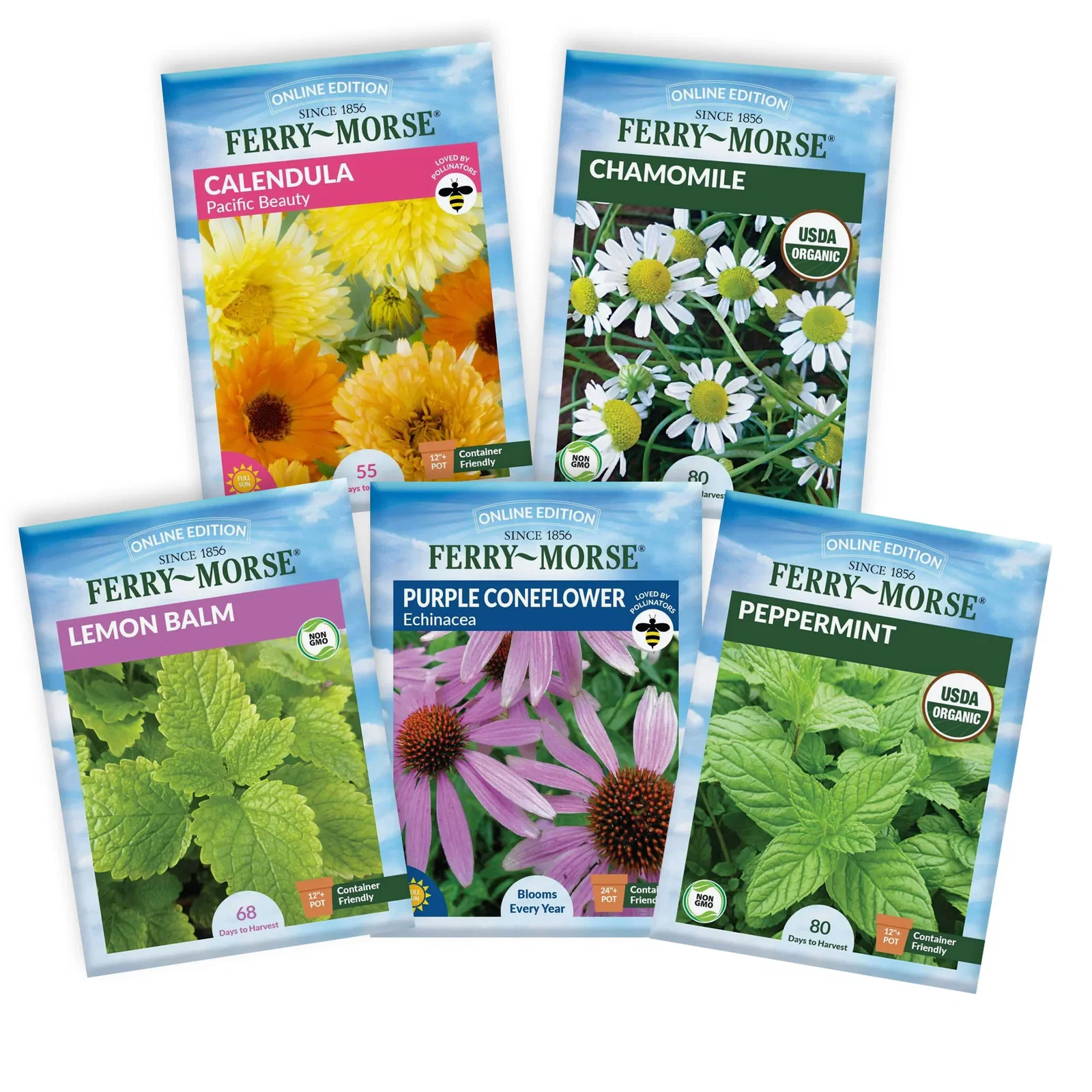 Image of Effortless Wellness Herb Seed Variety Pack- 5 Pack