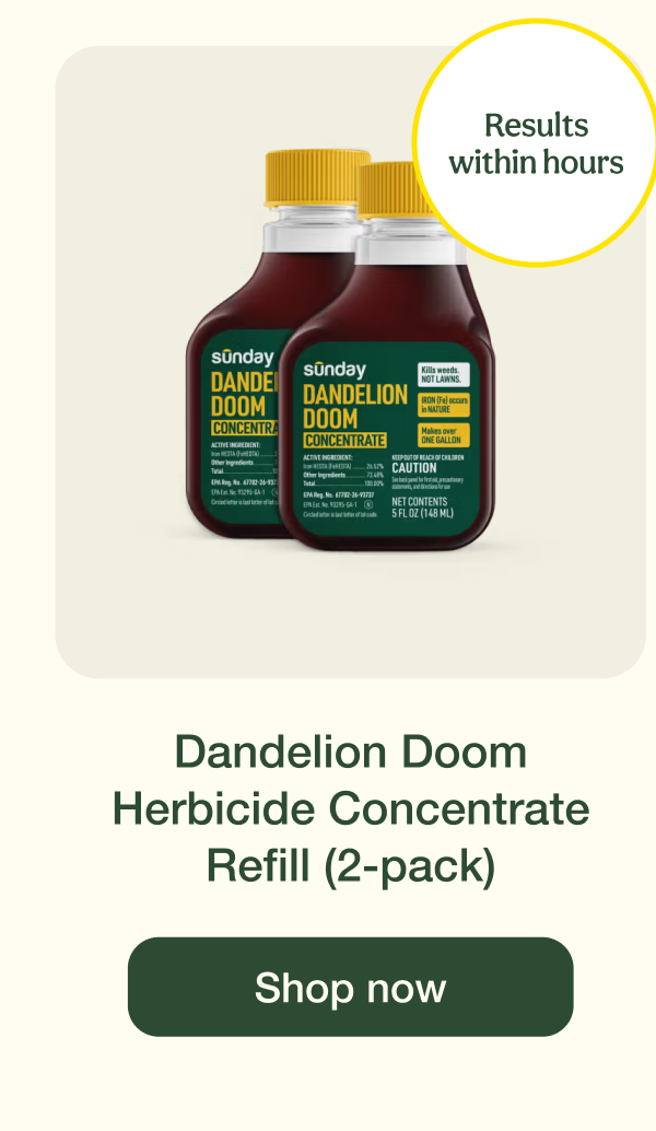 Dandelion Doom Herbicide Concentrate Refill (2-pack) | Shop now