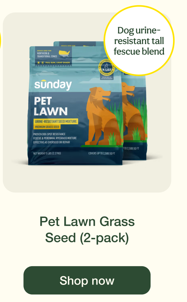 Pet Lawn Grass Seed (2-pack) | Shop now