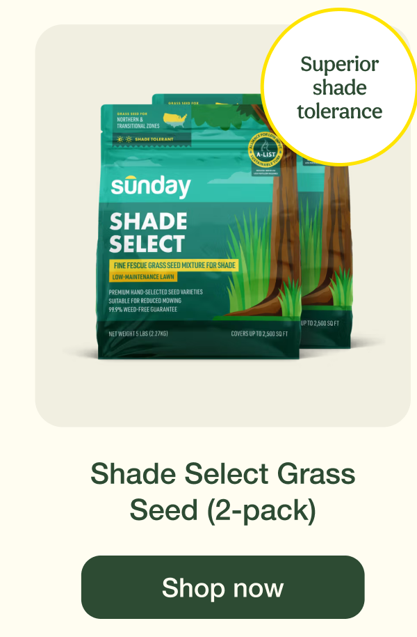 Shade Select Grass Seed (2-pack) | Shop now