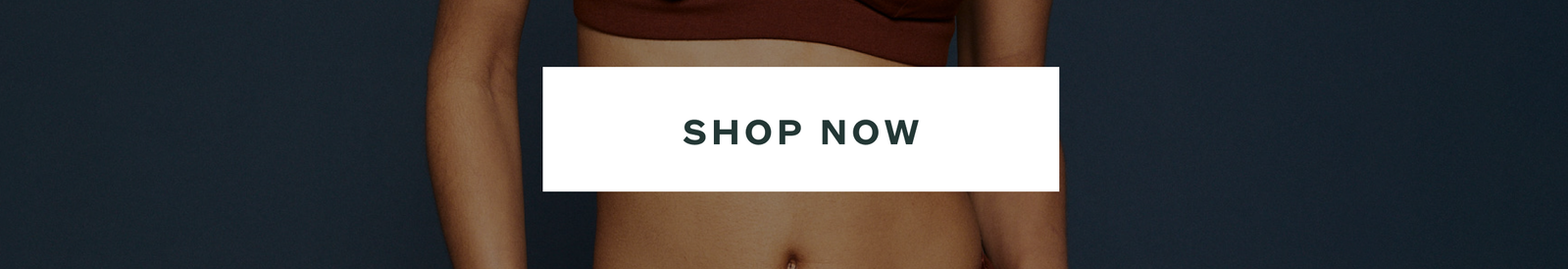 CTA: Shop Now
