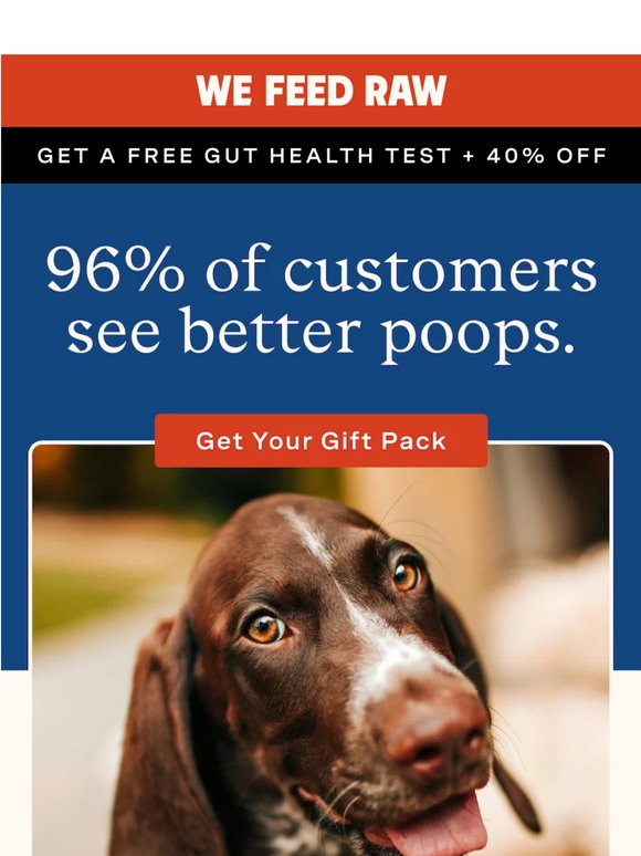 😝Your Pup’s score card