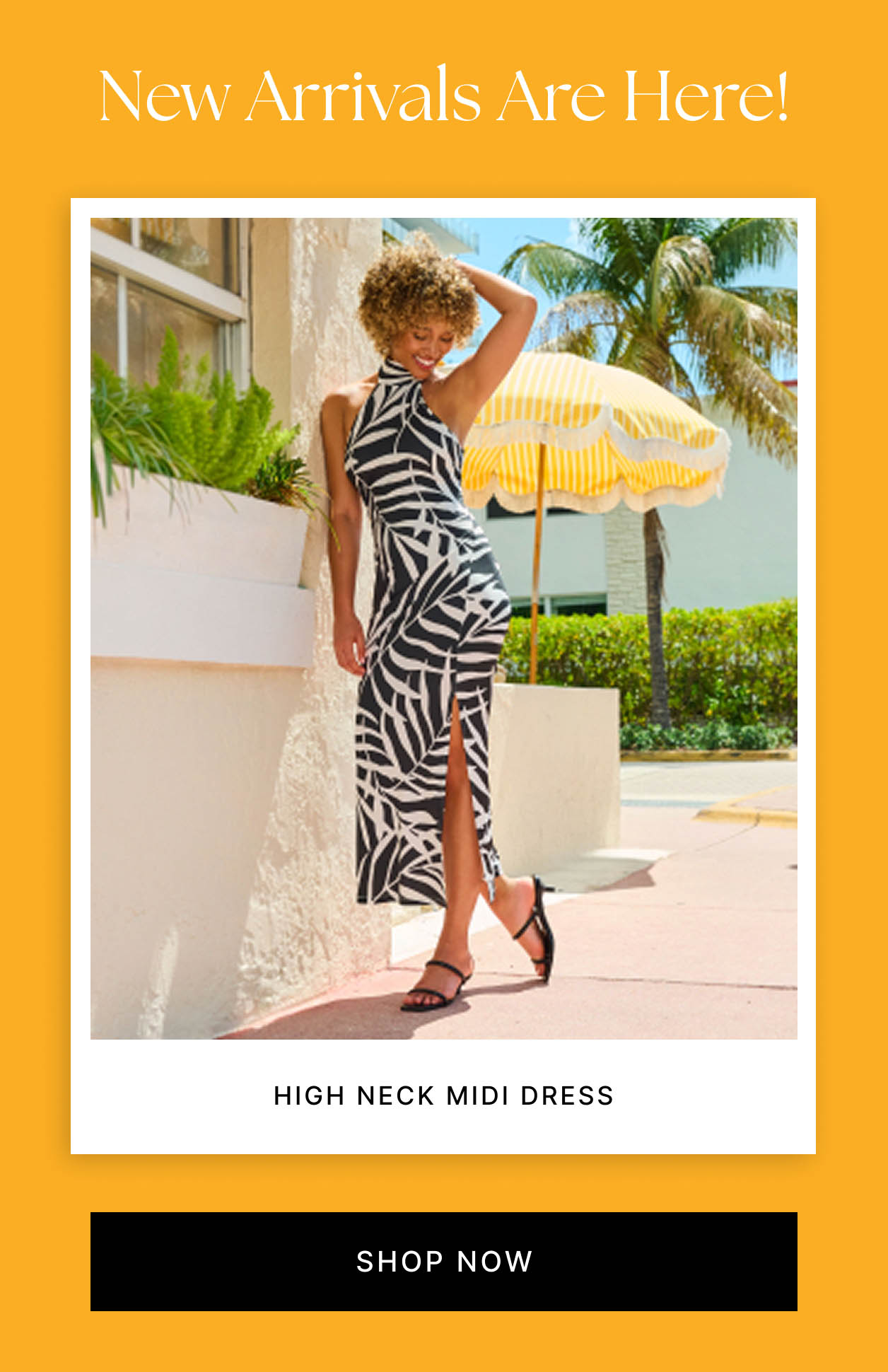 New Arrivals Are Here!