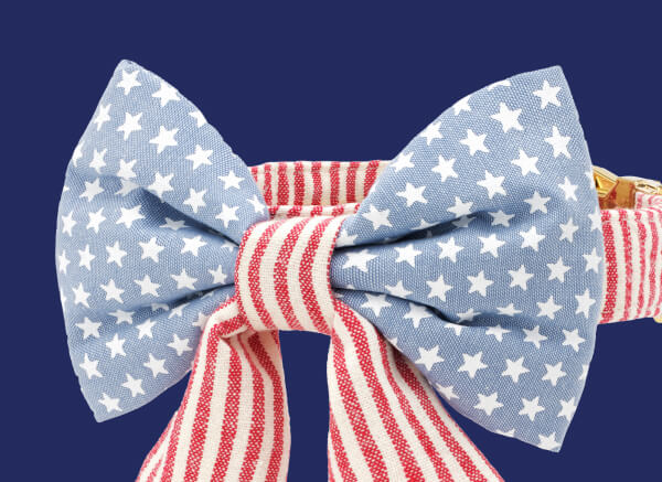 Shop bows