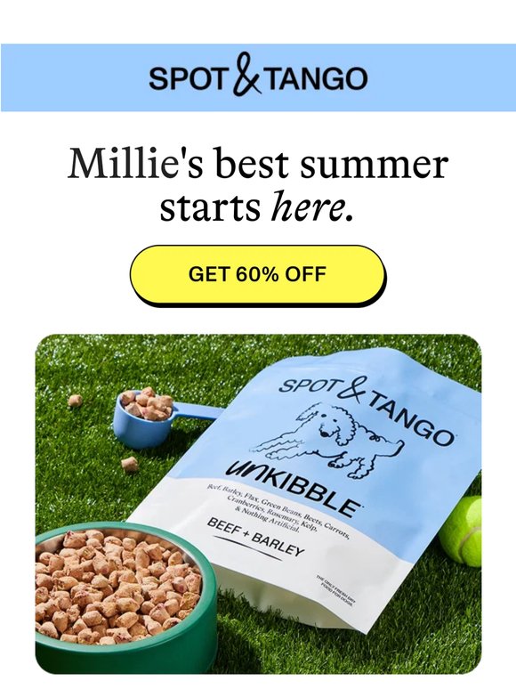 Millie's summer upgrade is here 🌭