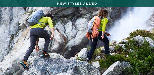 Montane