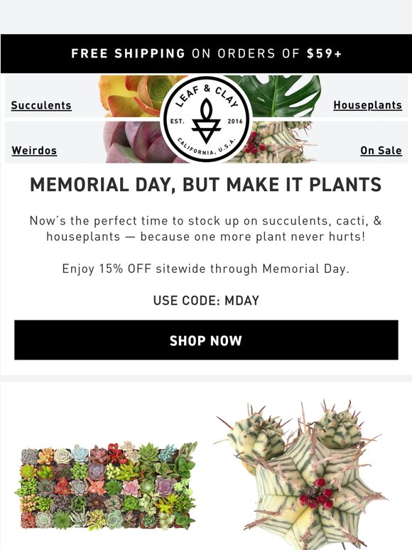 15% OFF Memorial Day Sale Ends Soon! 🌵