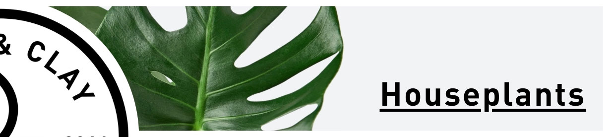 Houseplants
