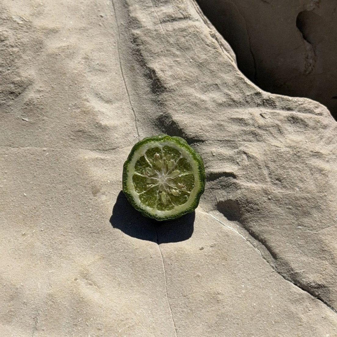 Bergamot