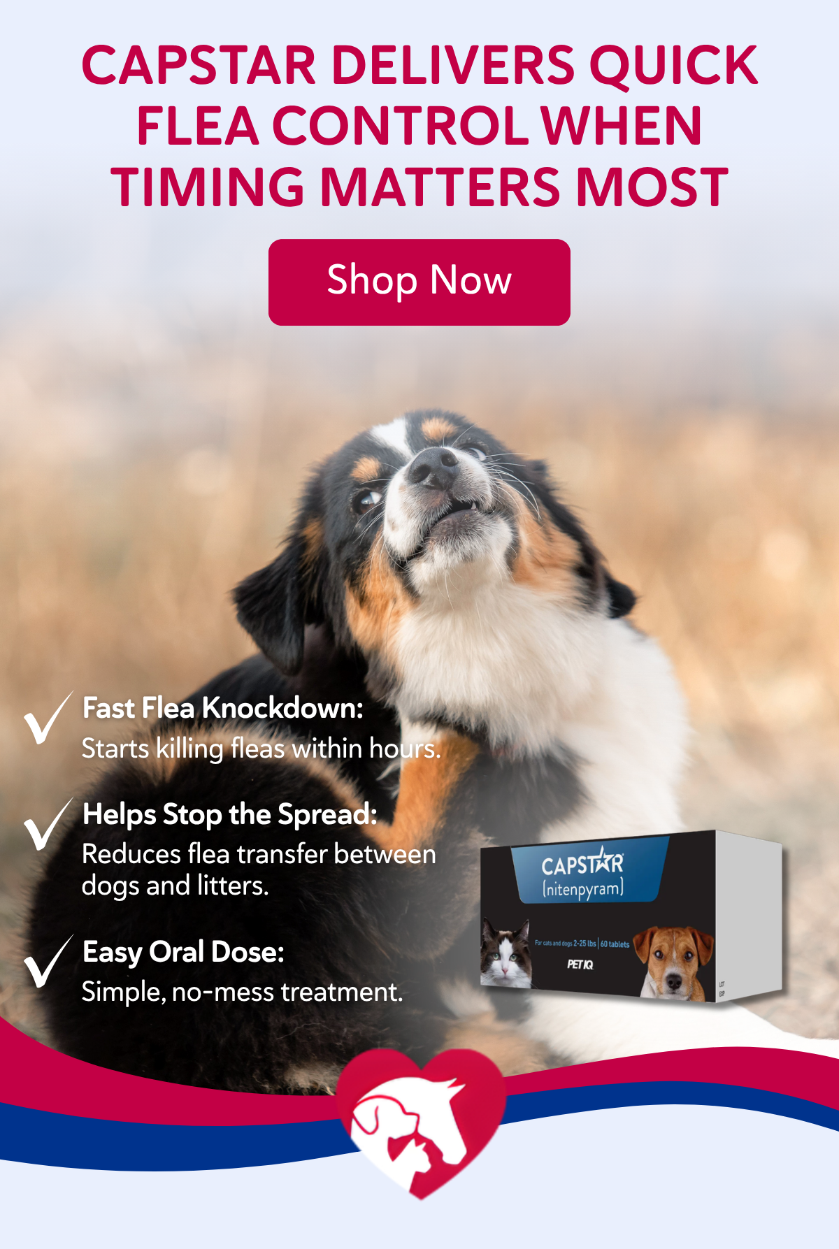 Capstar delivers quick flea control when timing matters most