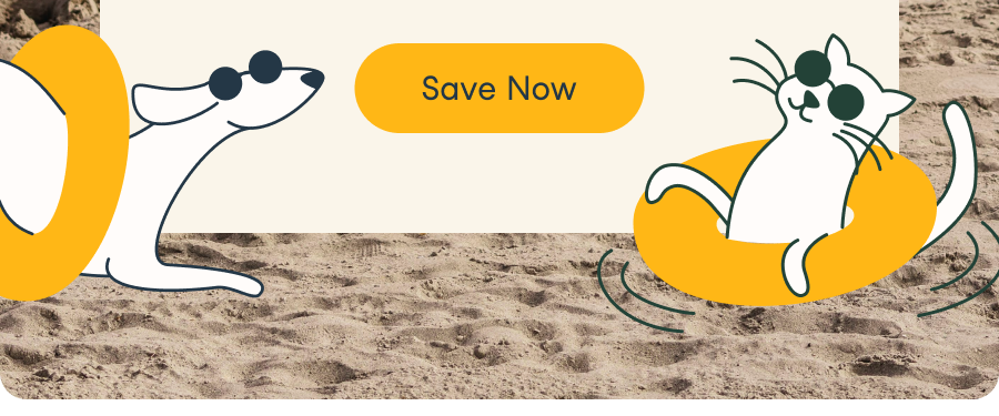 Save Now 