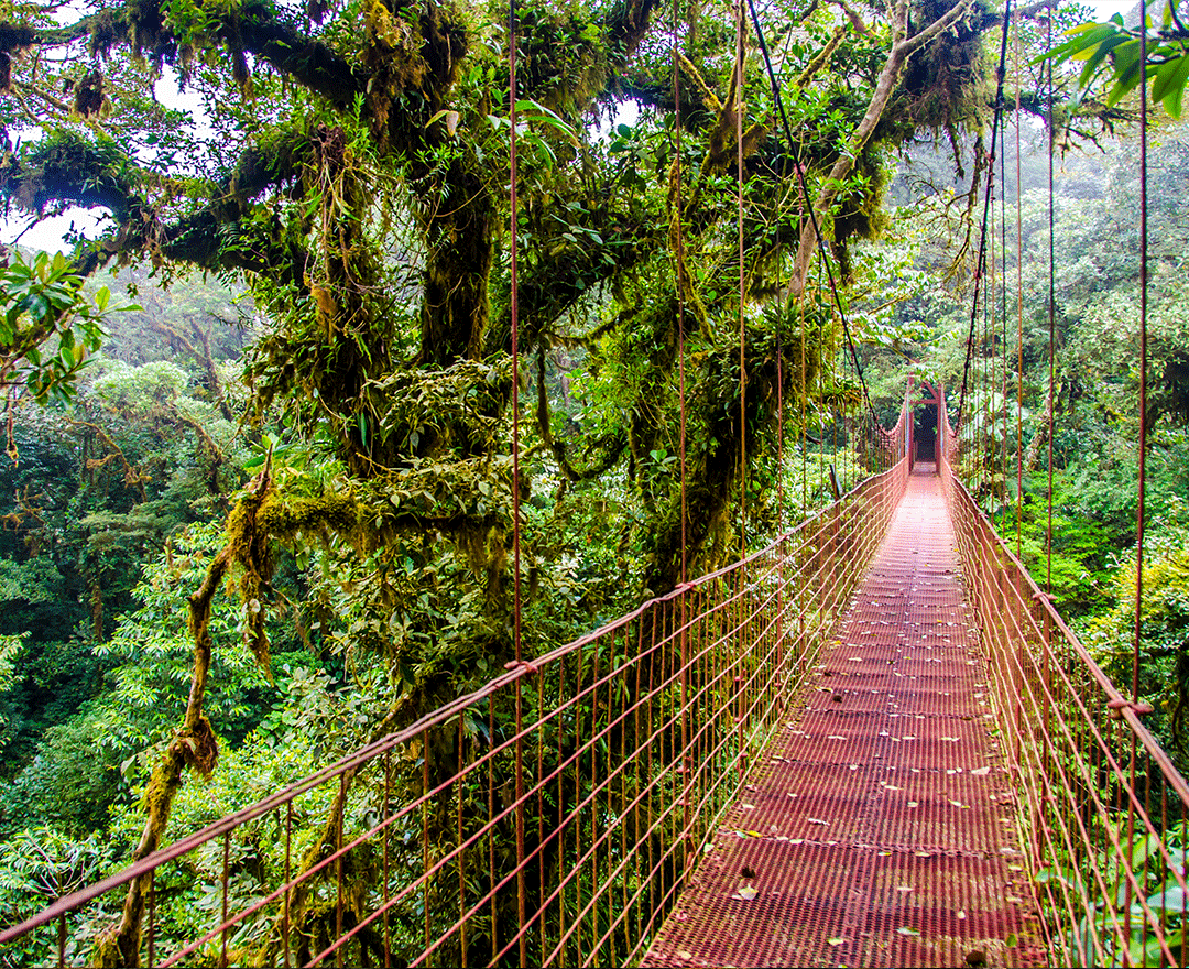 Beautés naturelles du Costa Rica!