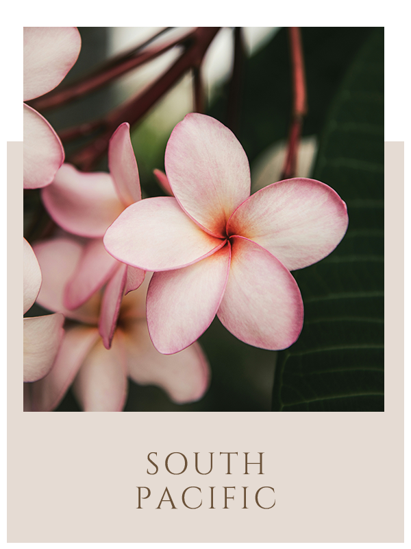 South Pacific