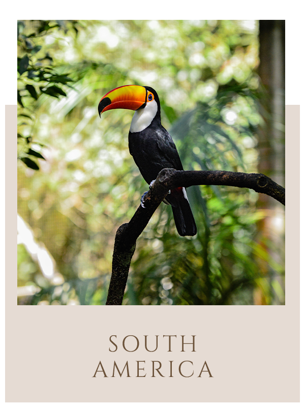 South America