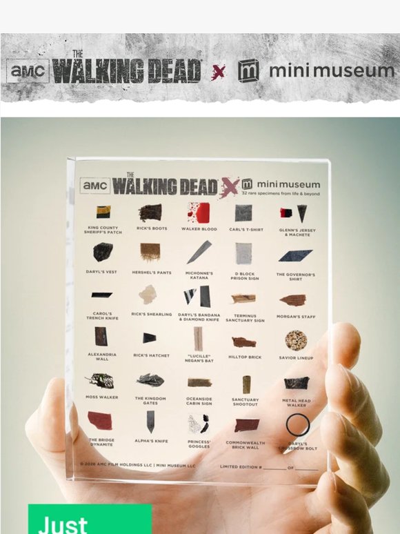 🧟 Fully Funded: The Walking Dead Mini Museum