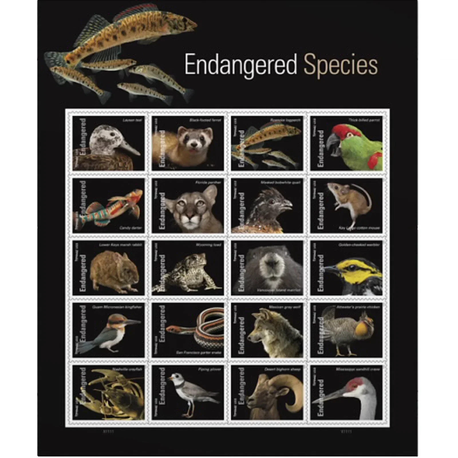 USPS Endangered Species First-Class Forever Stamps - Sheet of 20