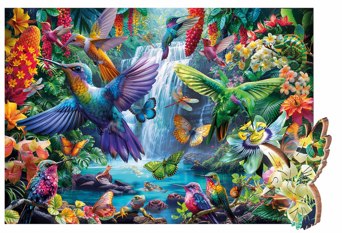 Tropical Hummingbirds
