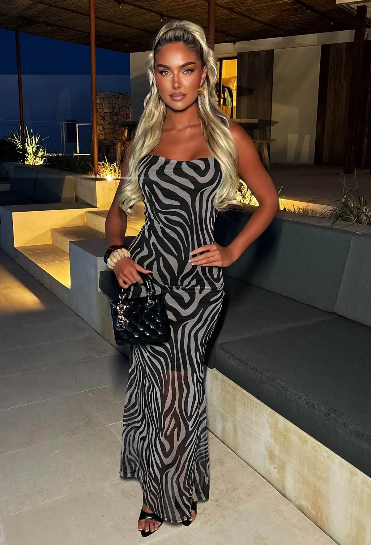 Wild Obsession Black Zebra Mesh Maxi Dress