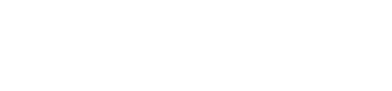 SANDISK TRADE UP White Logo