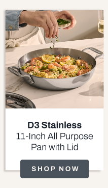 D3 stainless 11 inch all purpose pan