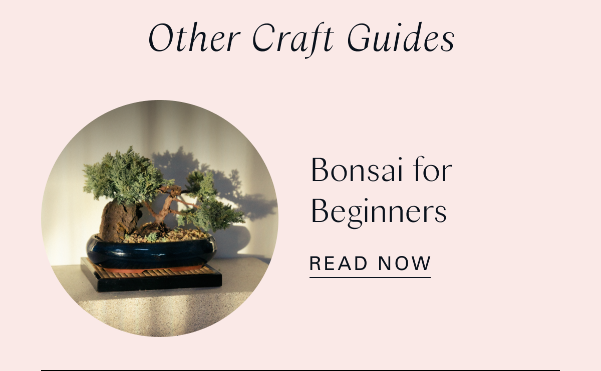 Other Craft Guides: Bonsai for Beginners 