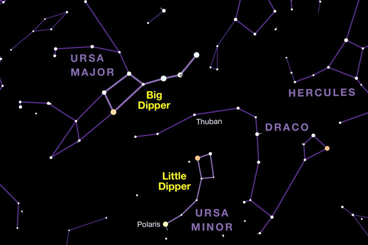 Dippers-highlight-web image