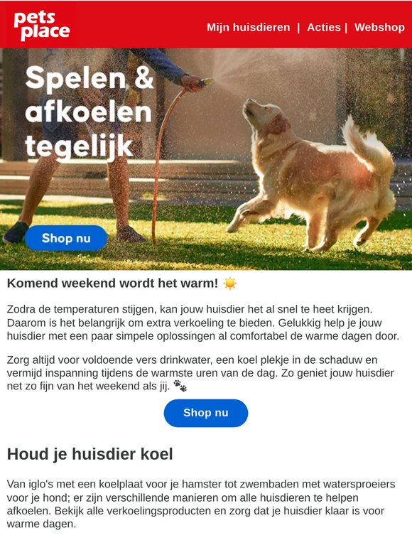 Help jouw huisdier het warme weekend door ☀️