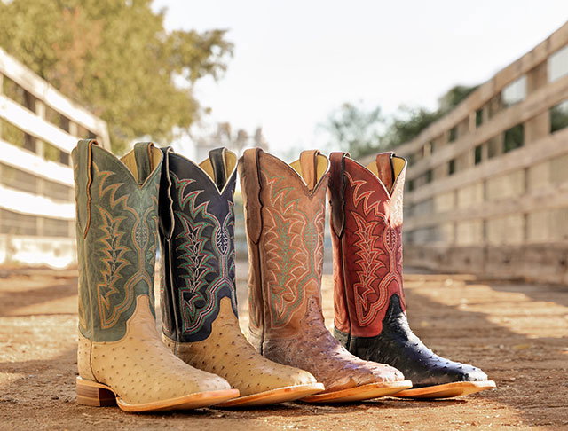 Chisolm 13" Full Quill Ostrich in Antique Saddle (Tan),  Shadow Black (Black), Rum Brown (Brown) and Vintage Tan (Tan).