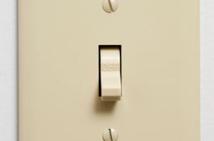 Get rid of your ugly light switch covers for these much prettier options