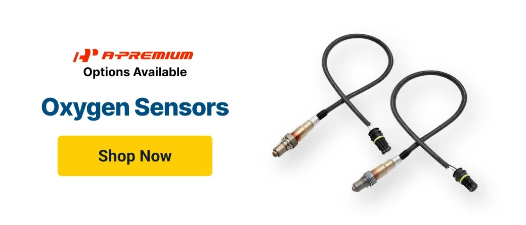 Oxygen Sensors