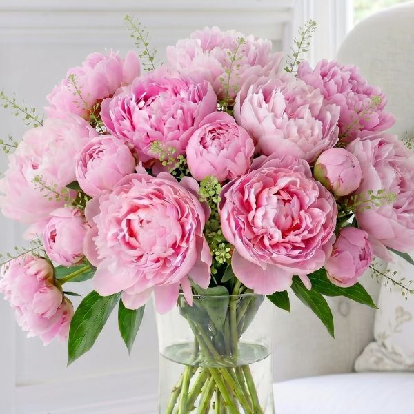 Peony