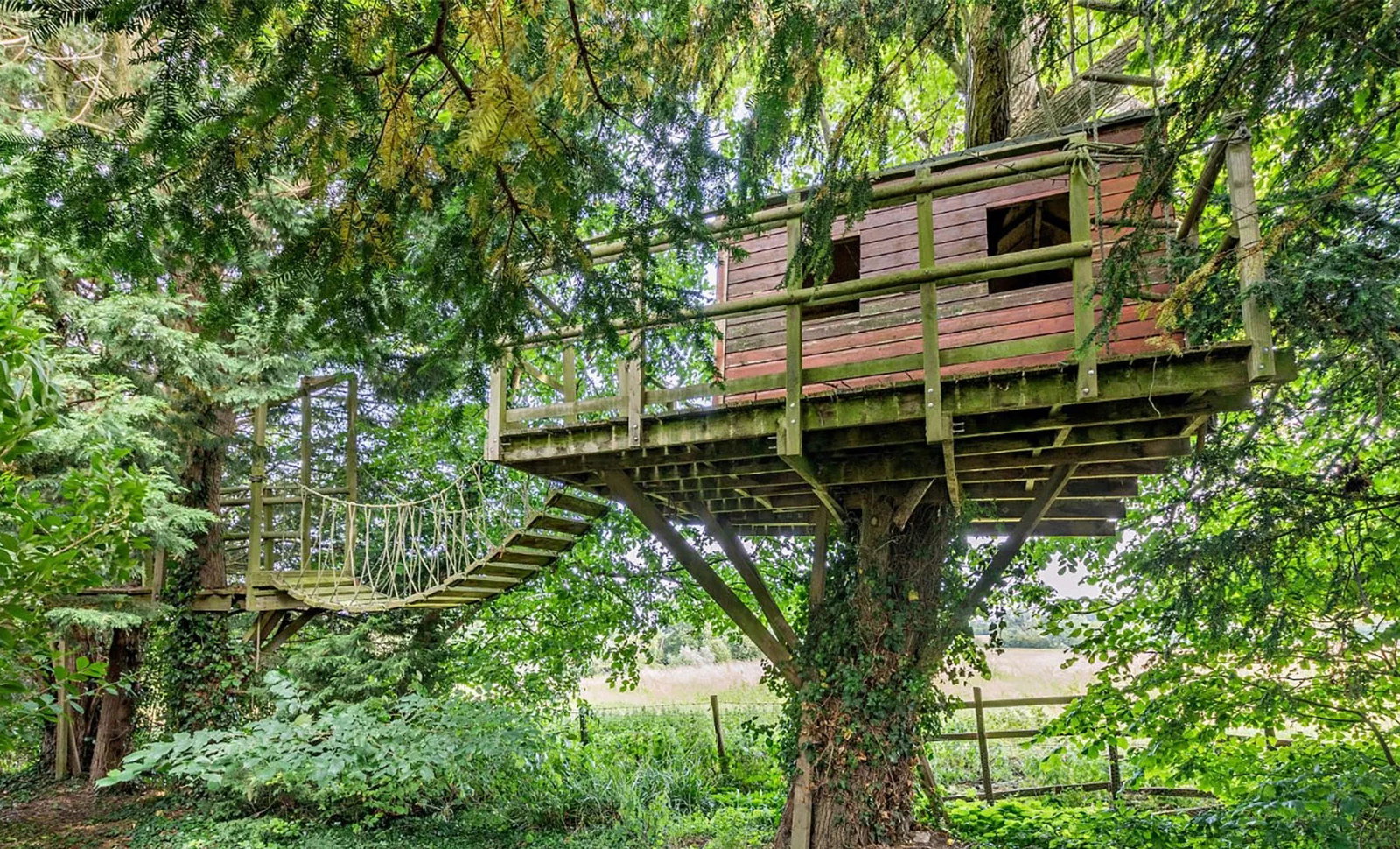 Treehouse