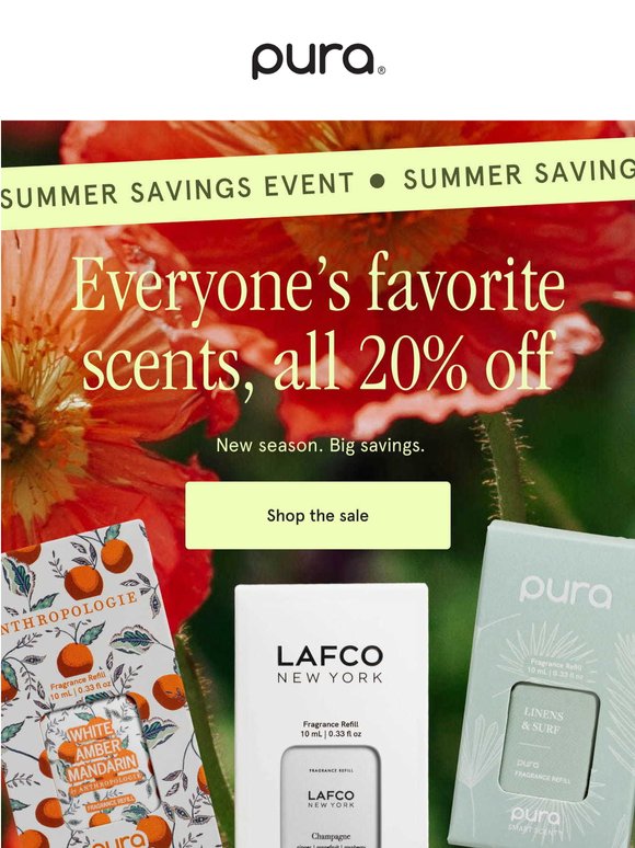 20% off best sellers