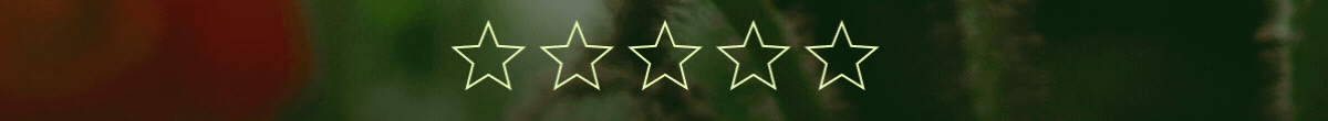 5 stars