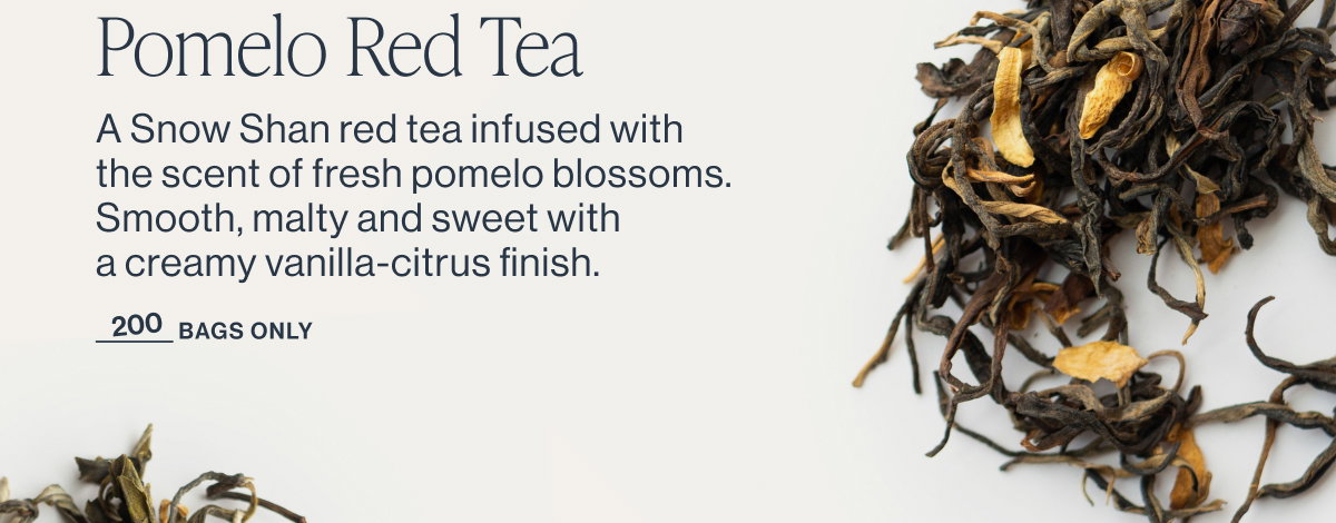 Pomelo Red Tea