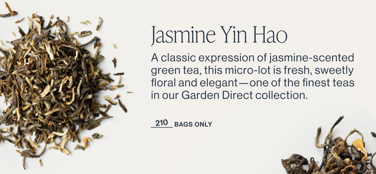 Yasmine Yin Hao